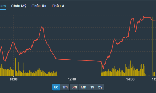 Cầu bắt đáy mạnh bạo hơn, cổ phiếu chứng khoán, bất động sản đảo chiều cả loạt