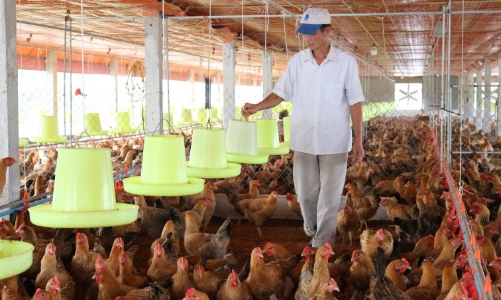 Triển lãm Vietstock Expo & Forum 2022: Cơ hội tiếp cận công nghệ mới cho ngành chăn nuôi