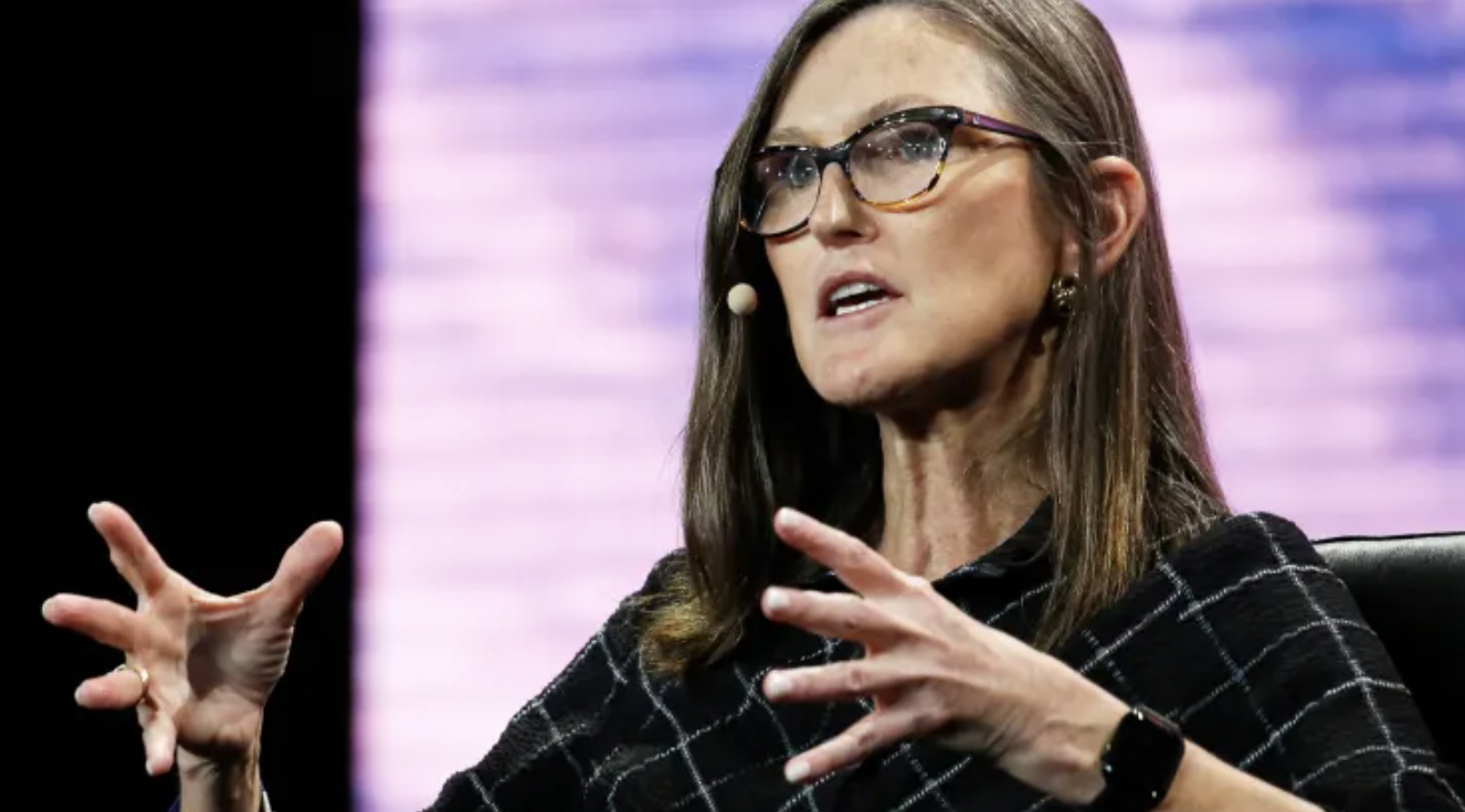 Nhà quản lý quỹ Cathie Wood - Ảnh: CNBC.