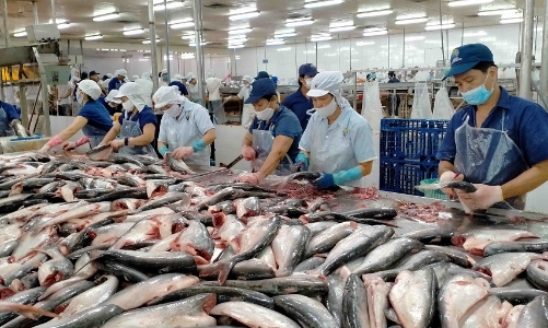 Hoa Kỳ giữ nguyên mức thuế chống bán phá giá đối với cá tra, basa Việt Nam