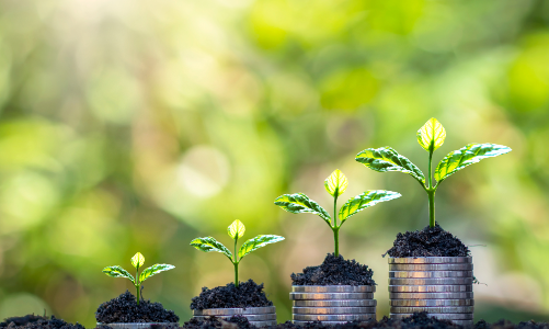 Vốn ngoại vẫn nhắm đến doanh nghiệp quản trị tốt và phát triển bền vững