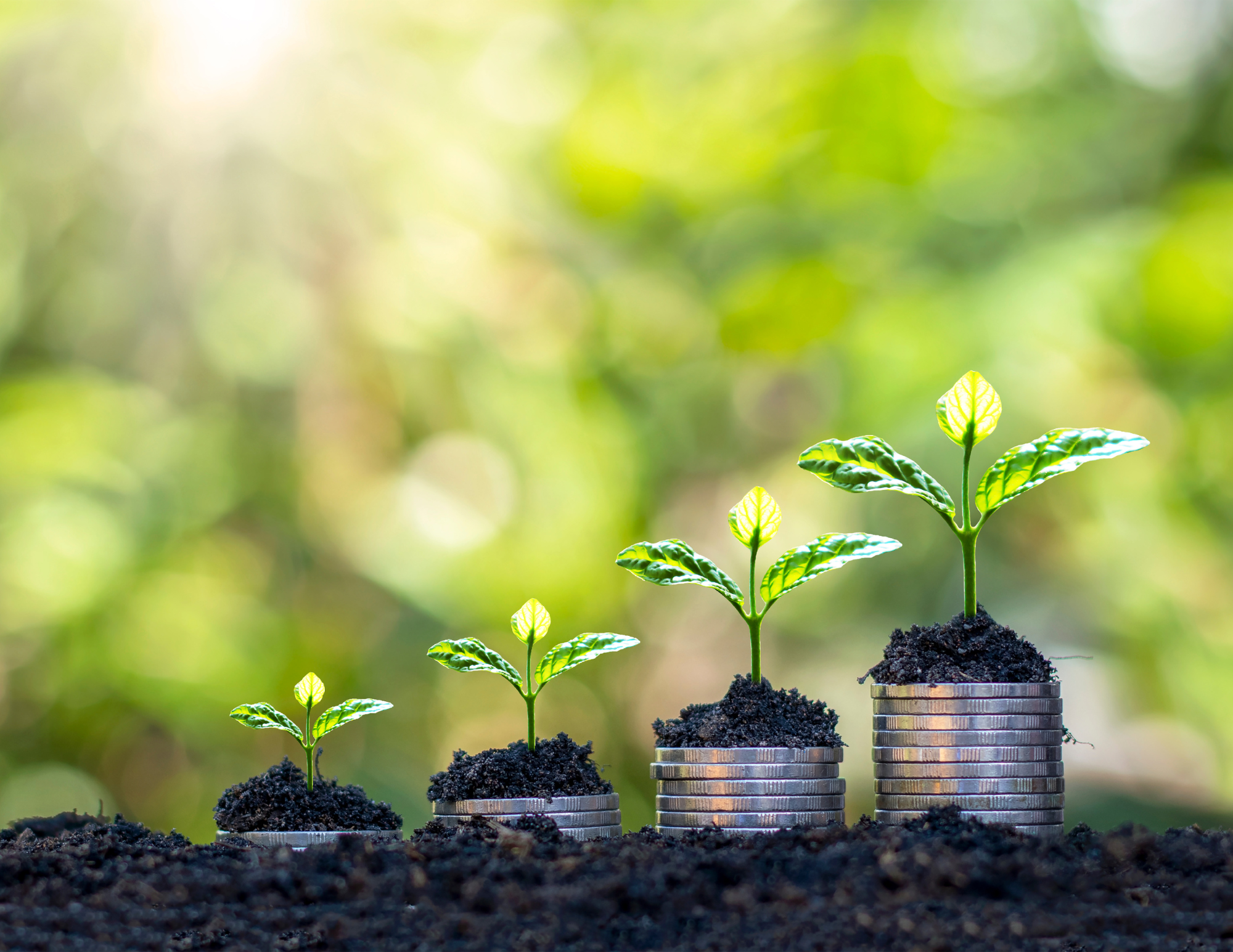 Phát triển bền vững ngày càng được doanh nghiệp, đặc biệt là các doanh nghiệp niêm yết quan tâm.