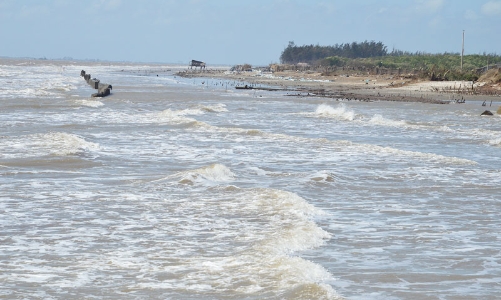 Bến Tre cần kinh phí hỗ trợ khẩn cấp chống sạt lở đê biển