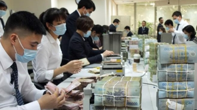 Domestic currency bond market nears $100bln