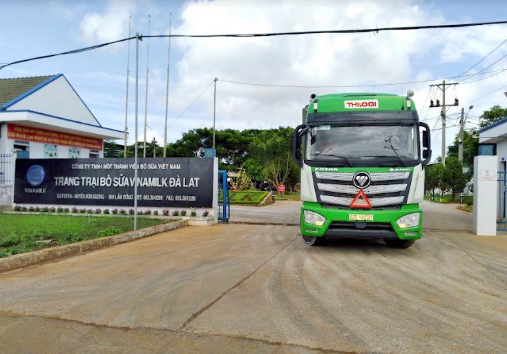 Vận chuyển bò giữa các trang trại tại Quảng Ngãi, Bình Định, Đà Lạt cho Vinamilk.