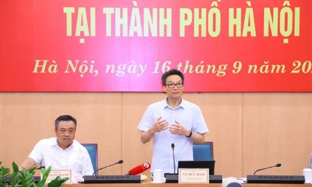 Phó Thủ tướng Vũ Đức Đam phát biểu chỉ đạo. Ảnh: TTXVN
