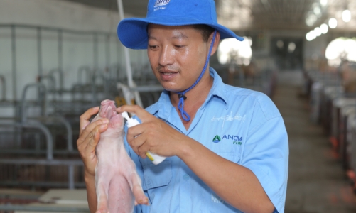 Nova Consumer tăng trưởng nhanh trên nền tảng 30 năm của NovaGroup