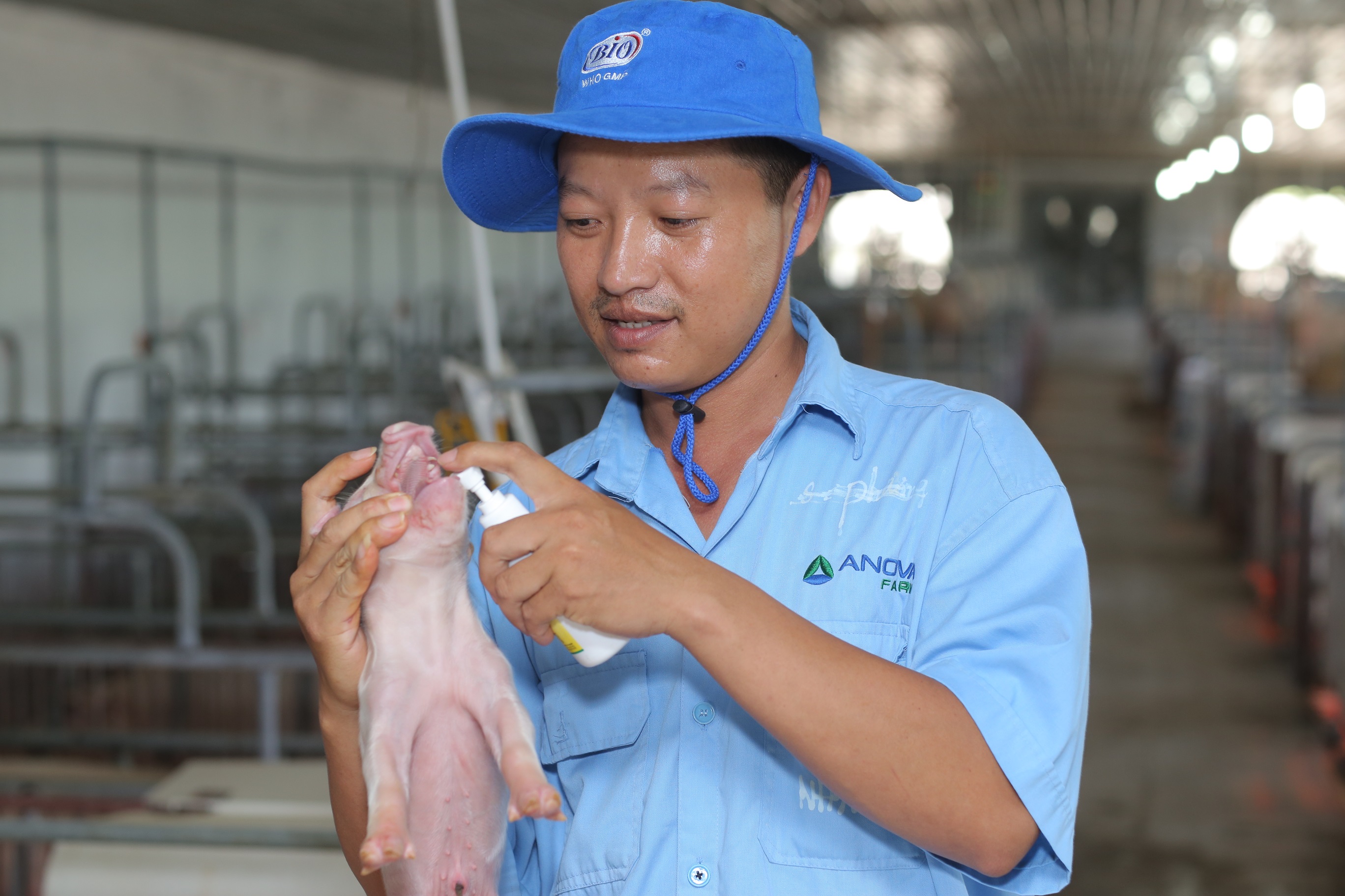 Trong 30 năm qua, hàng chục ngàn đối tác uy tín trong và ngoài nước đã cùng Tập đoàn NovaGroup góp phần phát triển kinh tế địa phương, nâng cao đời sống - kinh tế - xã hội cho người dân trong khu vực. Trong hình: Trang trại Anova Farm thuộc Nova Consumer.