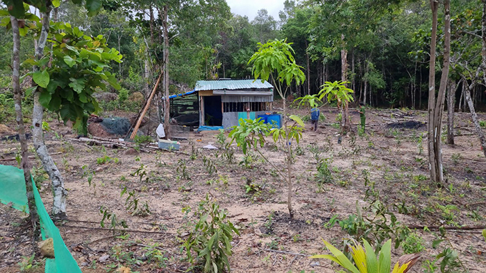 Nhiều vi phạm pháp luật trên lĩnh vực bảo vệ rừng tại Vườn quốc gia Phú Quốc.