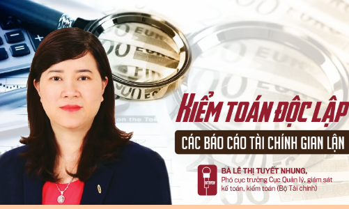 Kiểm toán độc lập các báo cáo tài chính gian lận