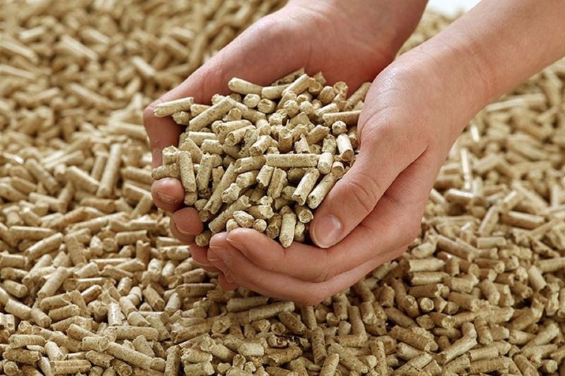 Wooden pellets becoming a billion-dollar industry