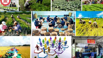 Amendments to Law on Cooperatives to go before NA