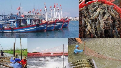 Creating space for seafood industry to develop