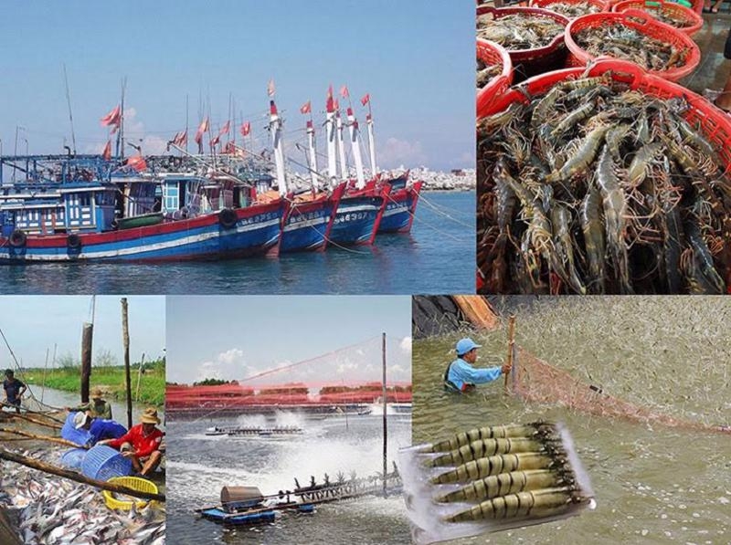 Creating space for seafood industry to develop