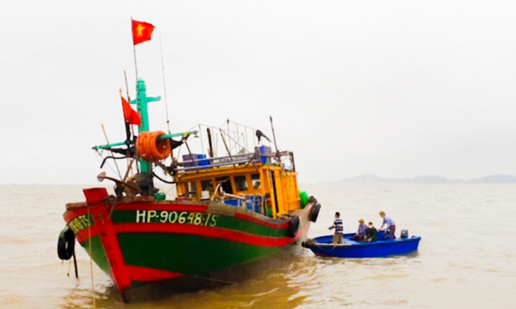 Hải Phòng đang tìm nhiều cách để chung tay gỡ thẻ IUU