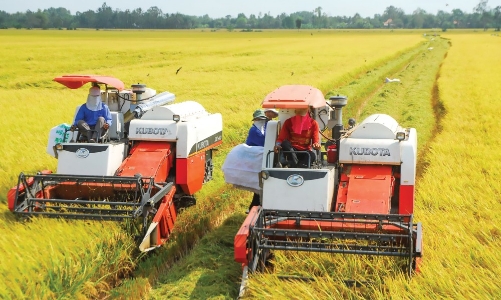 Hậu Giang nỗ lực giảm tỷ lệ hộ nghèo ở mức thấp nhất 