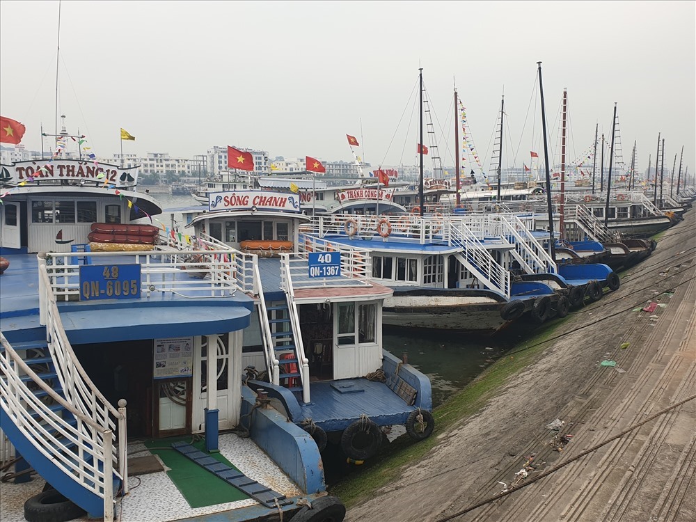 Dự thảo tăng cường công tác ứng dụng công nghệ thông tin trong quản lý nhà nước về thuyền viên, người lái phương tiện.
