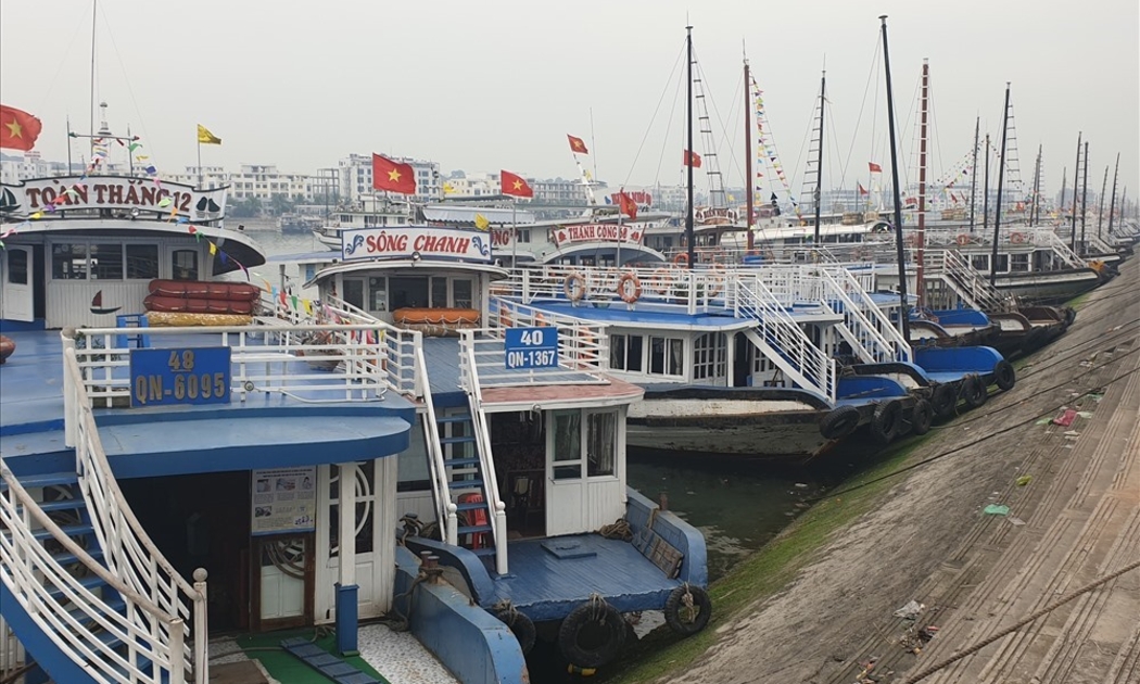 Dự thảo tăng cường công tác ứng dụng công nghệ thông tin trong quản lý nhà nước về thuyền viên, người lái phương tiện.