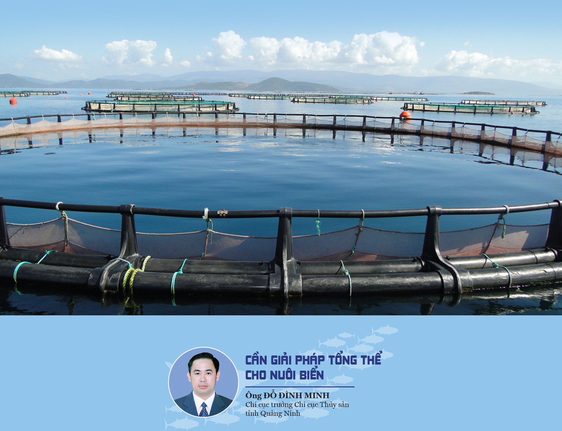 Một lộ trình phát triển nuôi trồng thủy sản bền vững - Ảnh 3