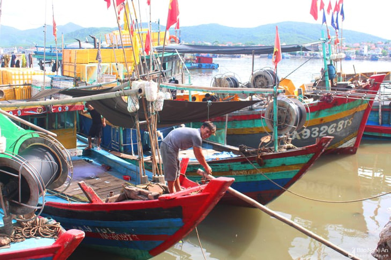 Bão Noru tiến vào Biển Đông, gió giật cấp 14, tiếp tục mạnh lên, đảm bảo khu neo đậu, tránh trú an toàn cho tàu thuyền.