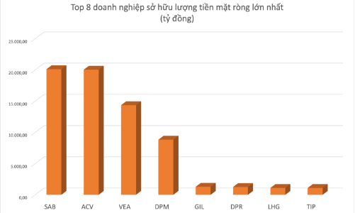 Những doanh nghiệp nào đang sở hữu lượng tiền mặt ròng lớn nhất sàn chứng khoán? 