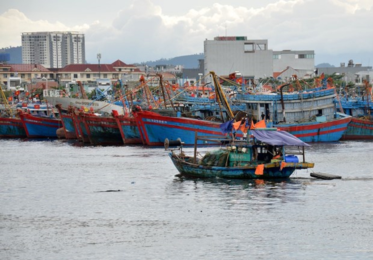Các tàu thuyền đã tập kết về âu thuyền Thọ Quang, Đà Nẵng.