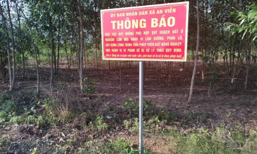 Đồng Nai xử lý nghiêm vi phạm đất đai