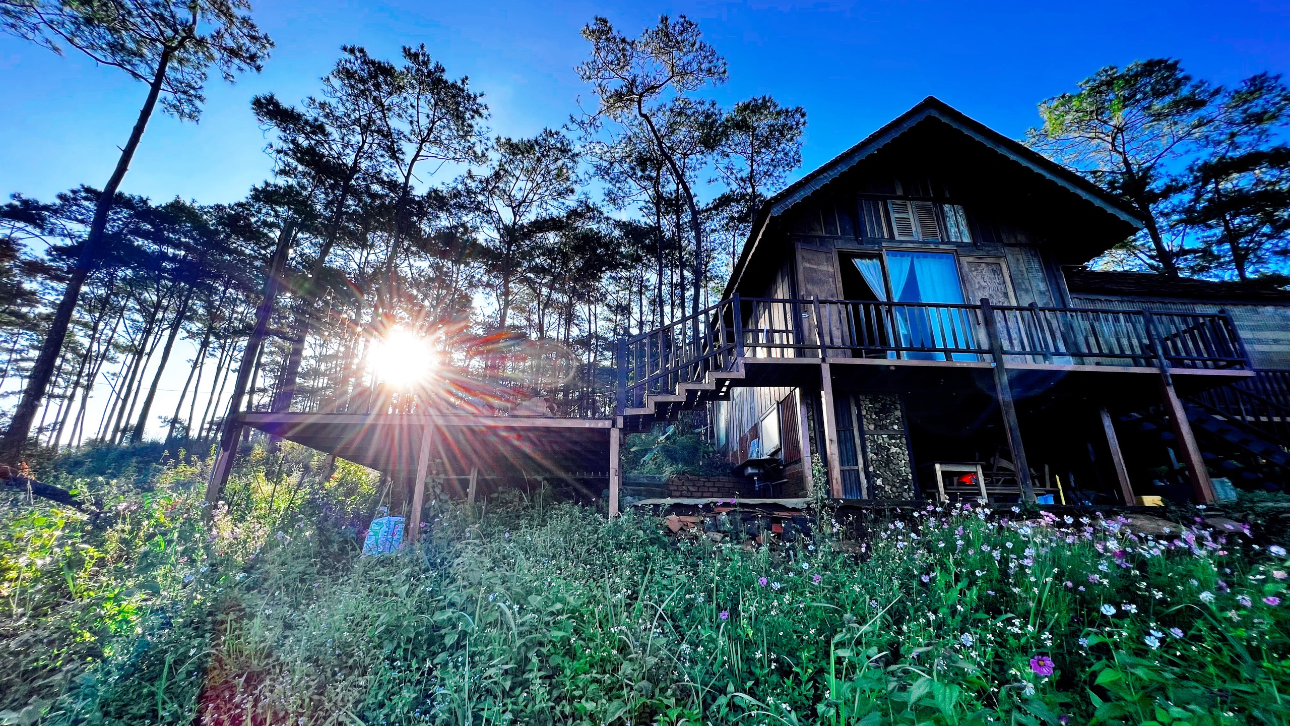 Nh&agrave; gỗ nghỉ dưỡng b&ecirc;n rừng th&ocirc;ng ở Đắk Song.