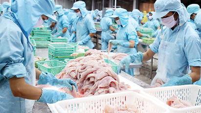 Exporters also hit by exchange rate fluctuations