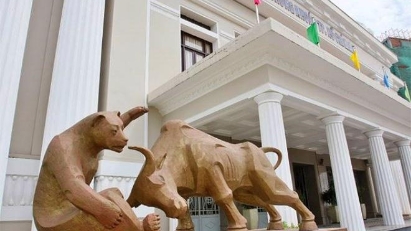 Stock market still offers opportunities