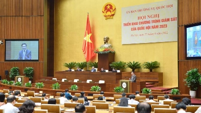 NA Standing Commitee to supervise issues of special concern