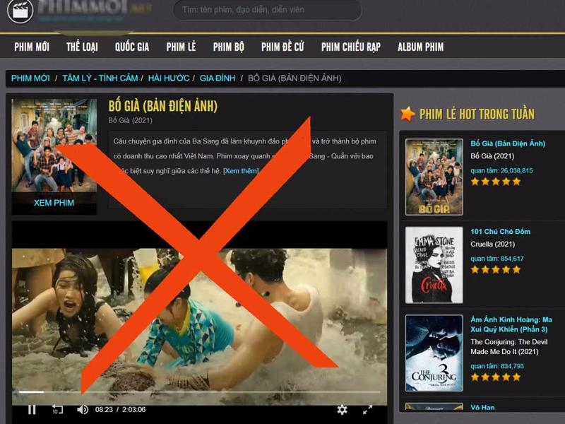 Vietnam still has high rate of piracy