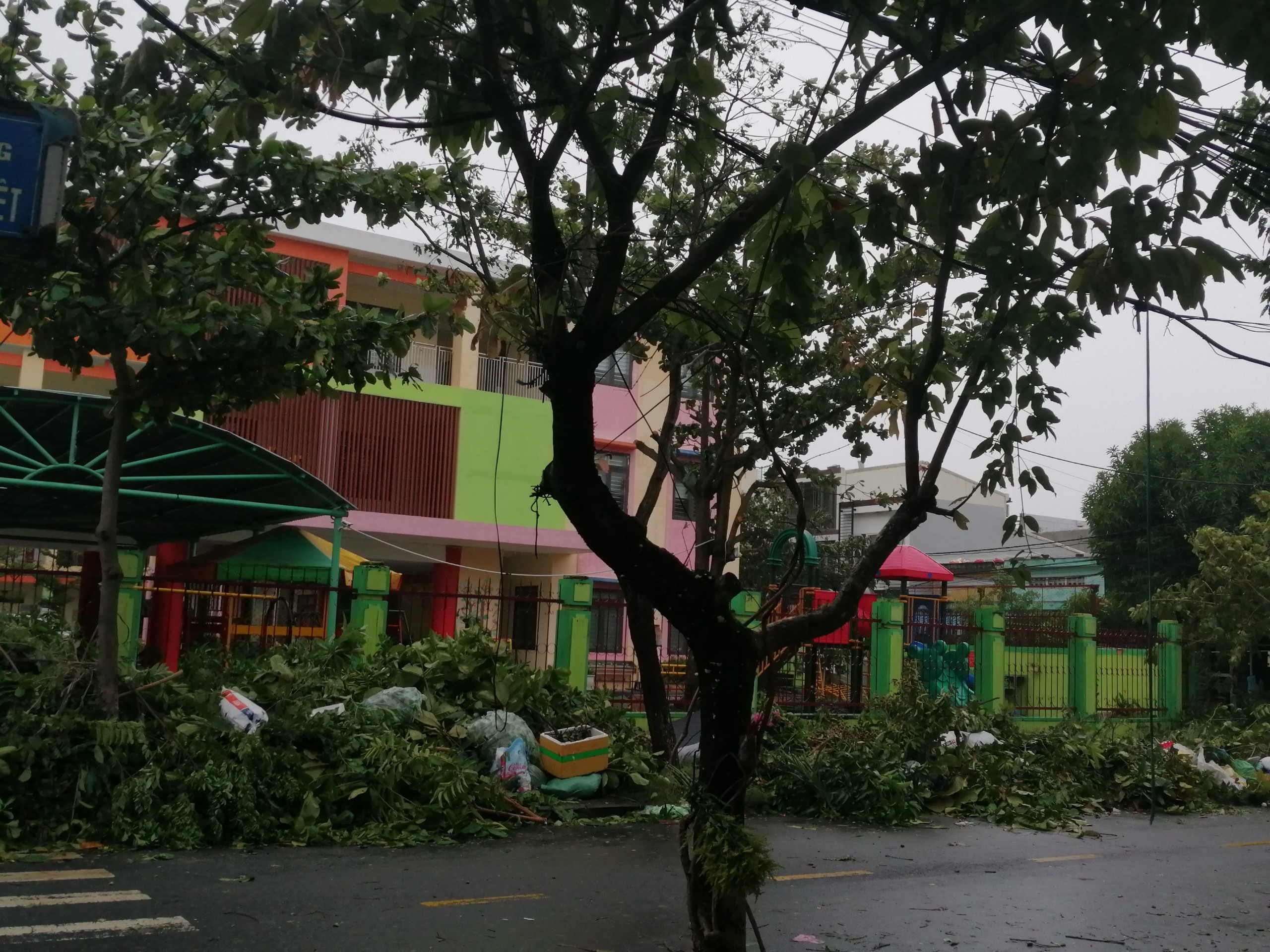 Nhiều đường phố đ&atilde; được dọn dẹp ngay sau cơn b&atilde;o