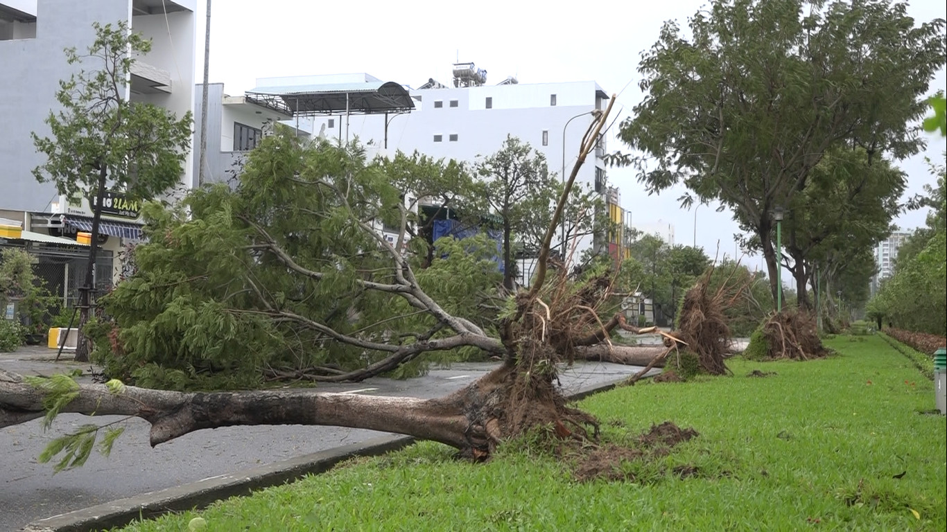 Tr&ecirc;n đường phố, một số c&acirc;y xanh bị đổ, g&atilde;y c&agrave;nh nhưng do người d&acirc;n đ&atilde; được khuyến c&aacute;o ở y&ecirc;n trong nh&agrave; n&ecirc;n kh&ocirc;ng c&oacute; thiệt hại về người.&nbsp;