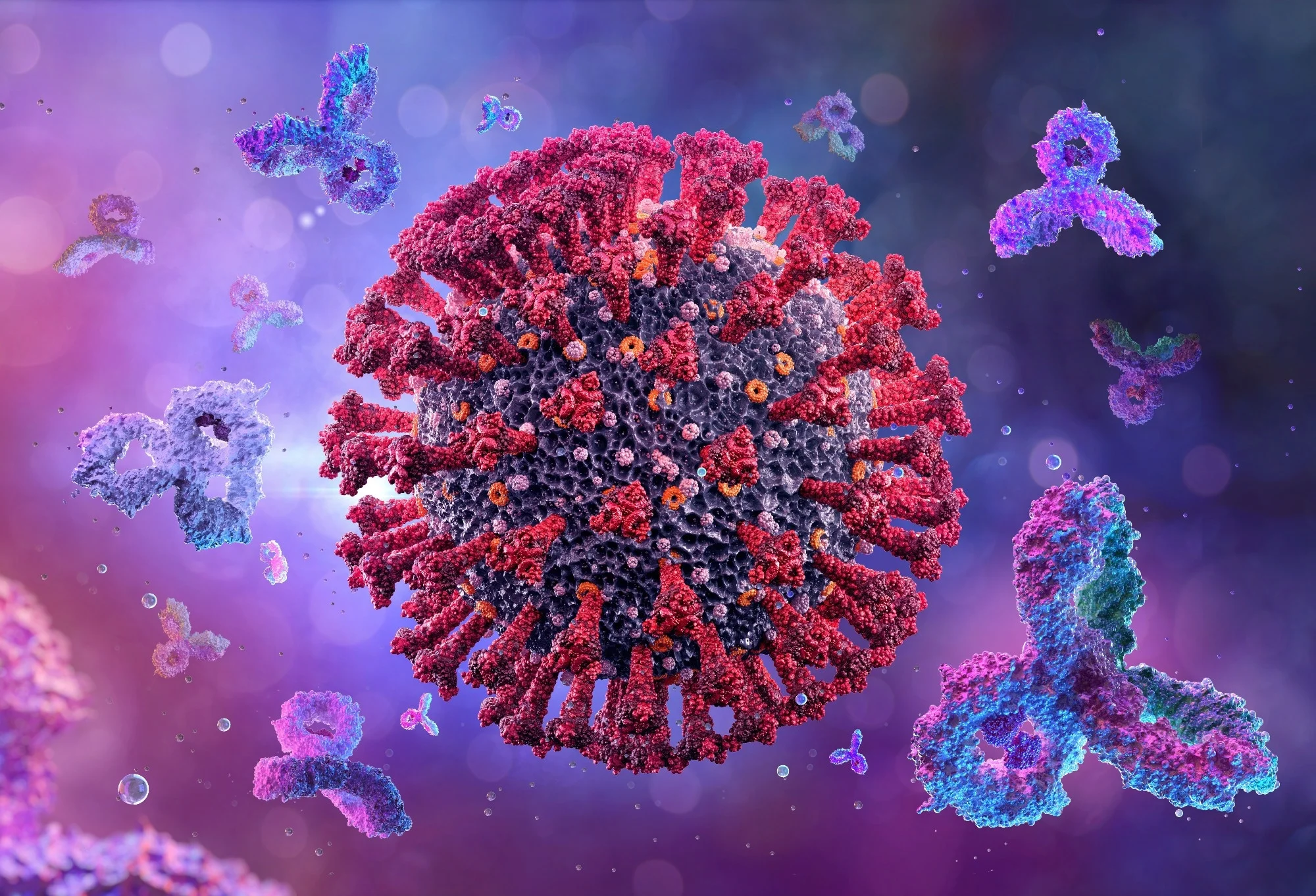 BA.2.75.2 đã chọn ra ba đột biến bổ sung từ BA.2.75, hai trong số đó là nơi virus liên kết với tế bào người để lây nhiễm.