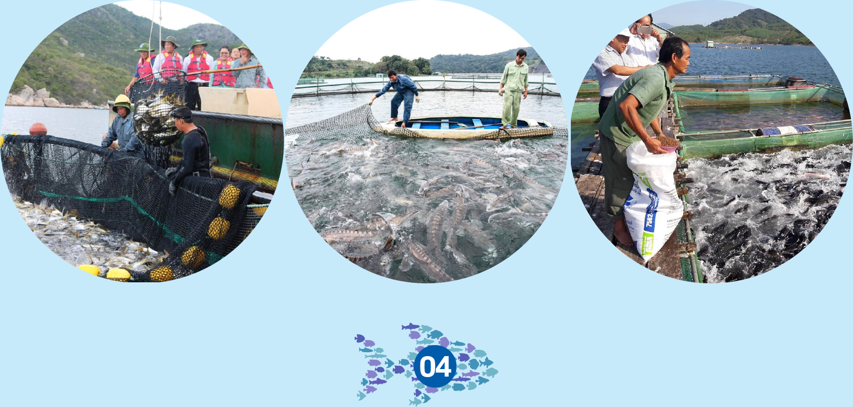 Hóa giải các thách thức trong nuôi trồng thủy sản - Ảnh 5