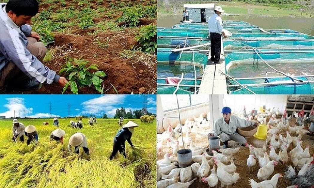 Nông nghiệp vẫn duy trì tăng trưởng ổn định.