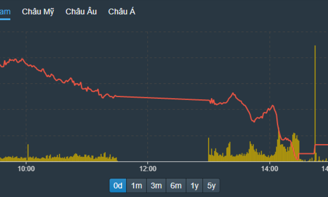 VN-Index lao dốc ngày càng sâu trong phiên chiều nay.