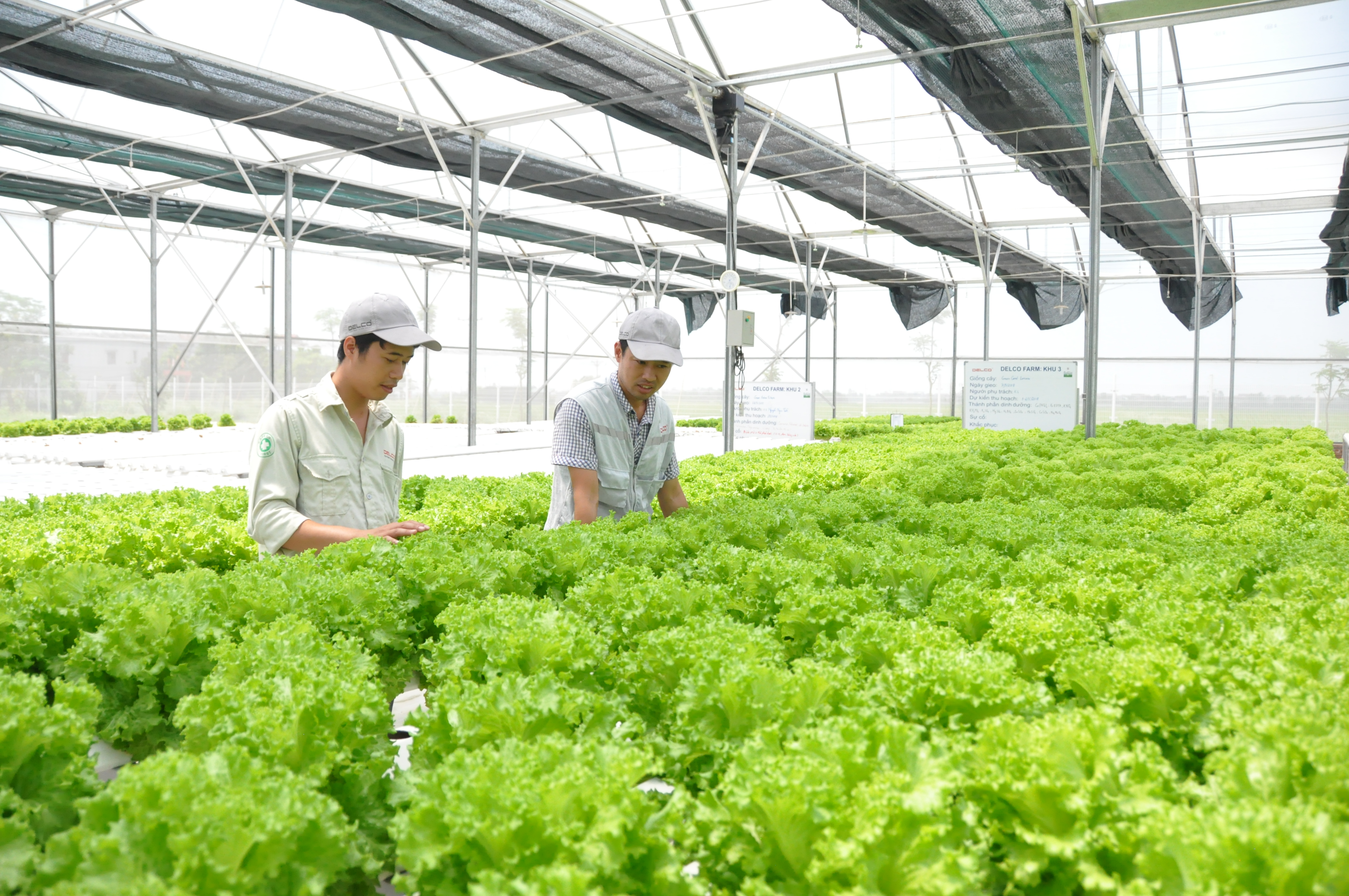Tính tuần hoàn phải có cả trong lĩnh vực năng lượng, sản xuất lương thực, thực phẩm...