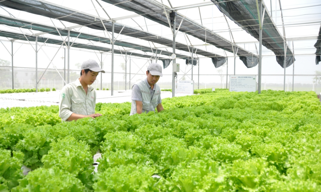 Tính tuần hoàn phải có cả trong lĩnh vực năng lượng, sản xuất lương thực, thực phẩm...