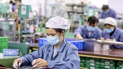 Amendments proposed for Law on Employment