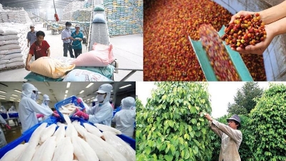 Exports to Russia showing signs of recovery