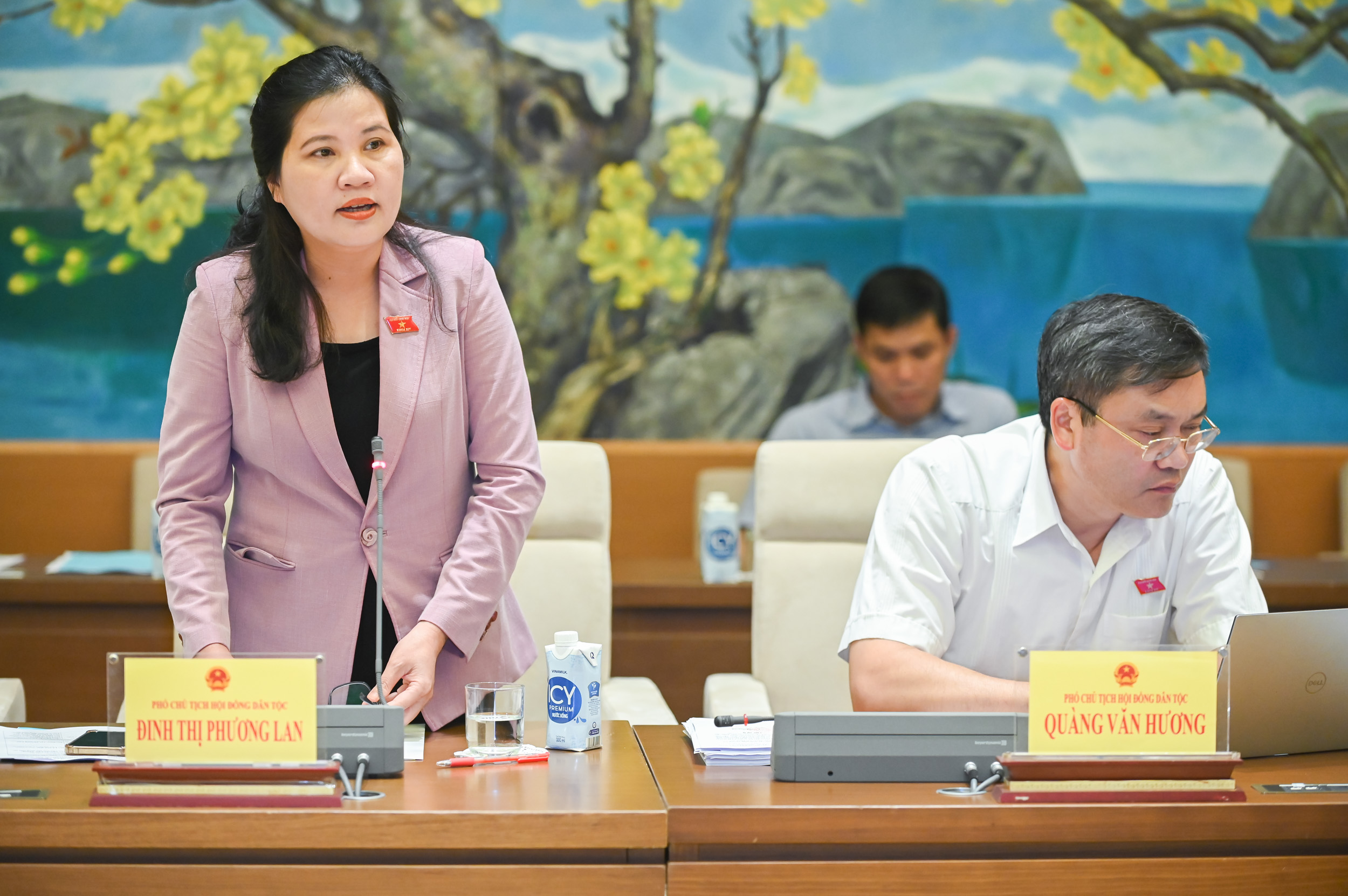 Ph&oacute; Chủ tịch Hội đồng D&acirc;n tộc Đinh Thị Phương Lan&nbsp;