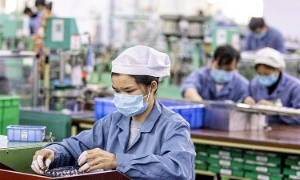 Sửa Luật Việc làm: Thêm chính sách phát triển thị trường lao động và mở rộng đối tượng tham gia bảo hiểm thất nghiệp