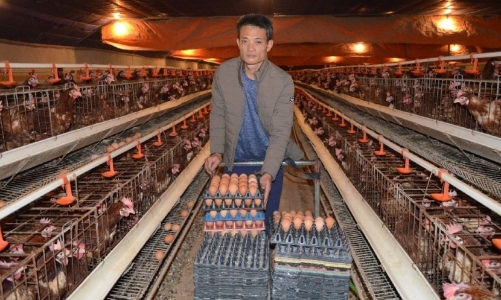 Buồn vui chuyện của những nông dân tỷ phú: Người phá sản, người vượt qua được đại dịch Covid -19