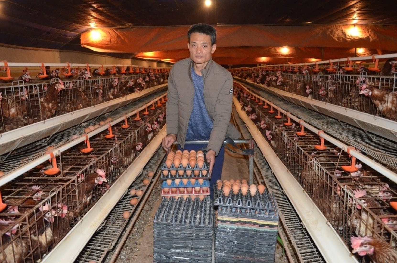 Anh Nguyễn Hữu Tuệ ở Hưng Yên là 1 trong 100 người đạt danh hiệu "Nông dân Việt Nam xuất sắc” năm 2022.