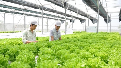 Green economy expo set for November in HCMC