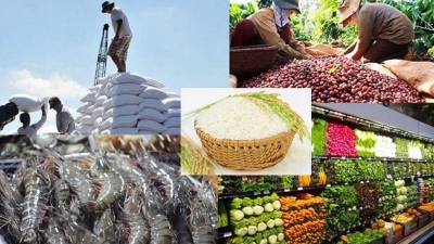 9M agri exports exceed $40bln