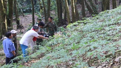 Quang Nam developing pharmaceutical center