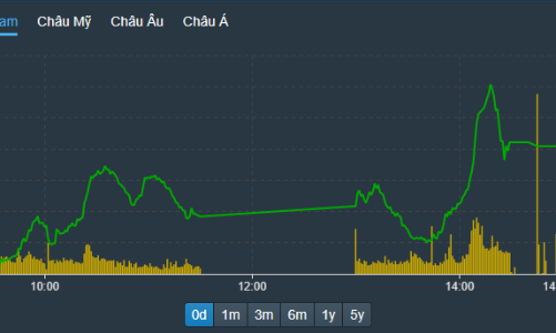 Không có hiệu ứng T+2, cổ phiếu lợi đà tăng ào ạt